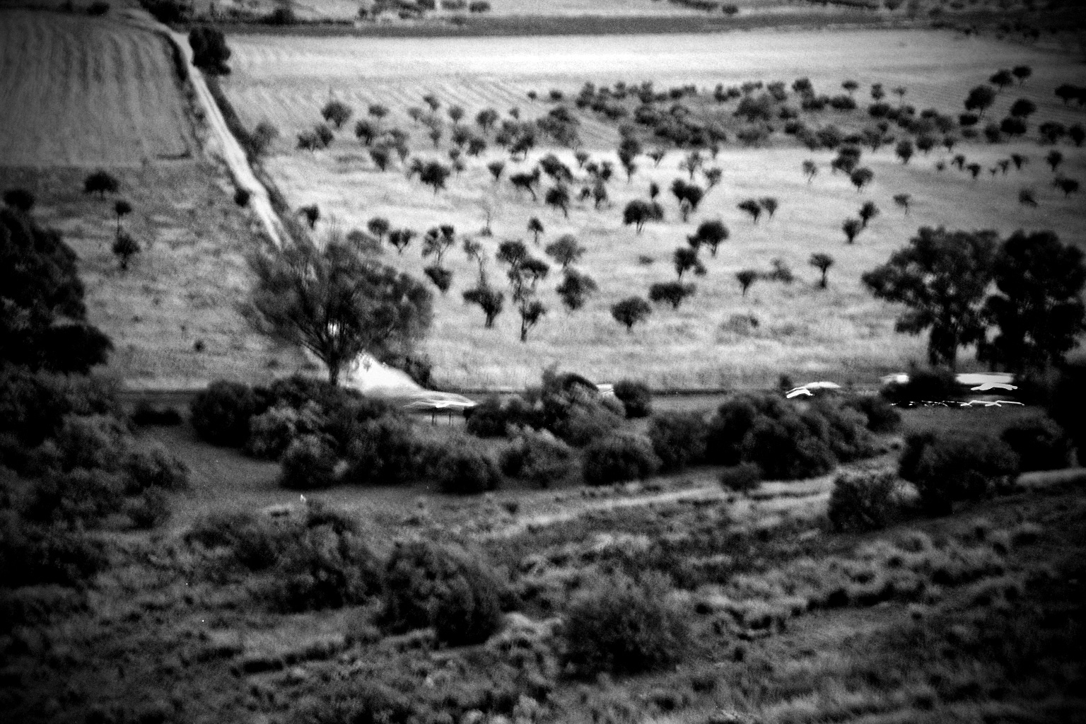 Agrigento Valle dei Templi