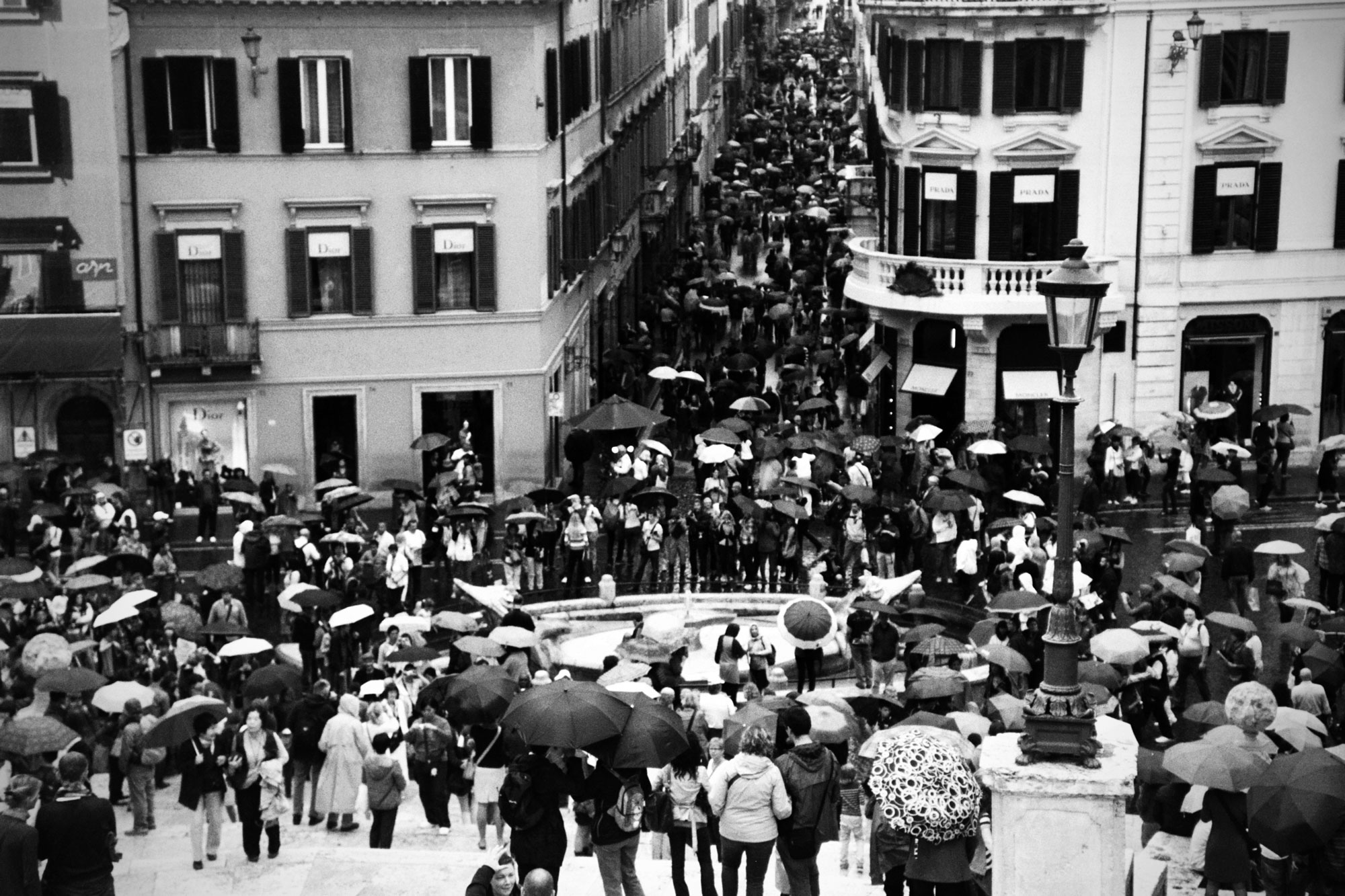 Roma bw piazza di spagna umbrellas rain