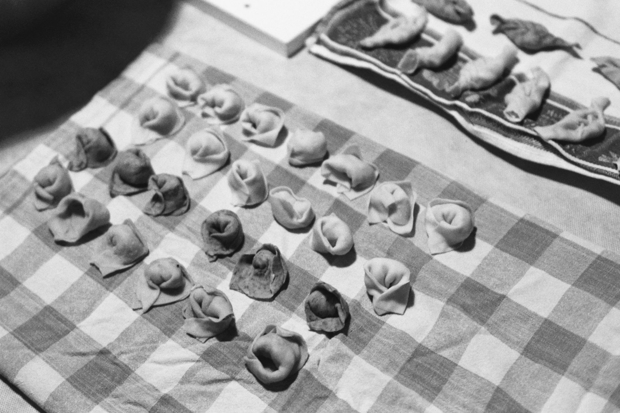 Berlin Tortelli workshop bw preparation rows