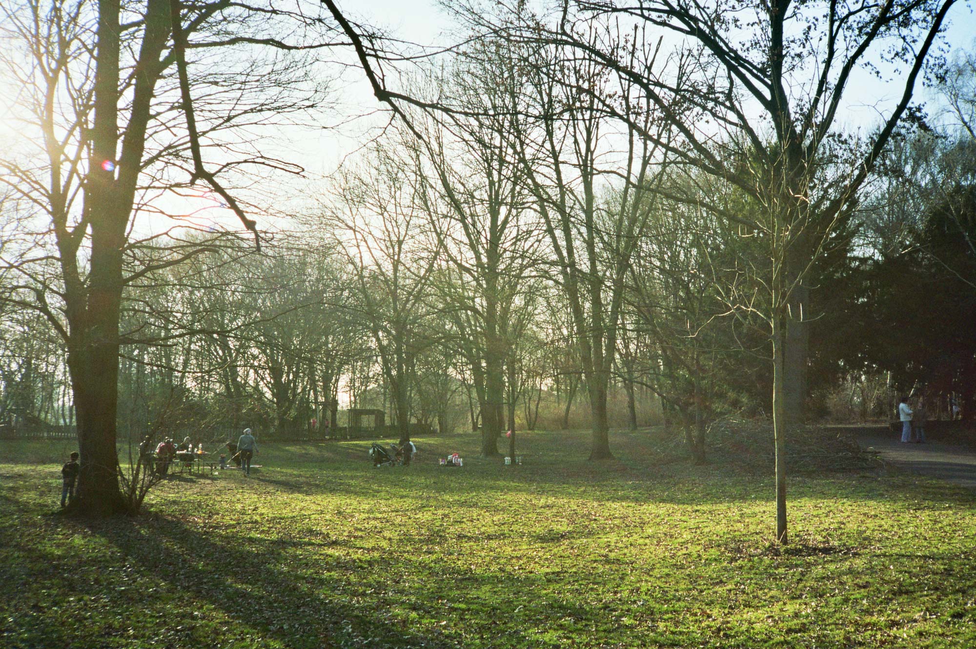 Berlin Humboldthain park sun green