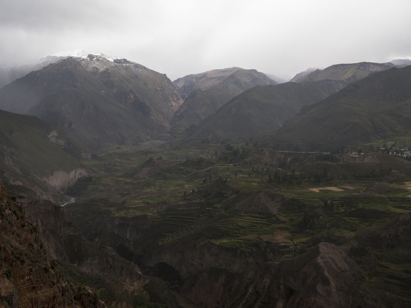 Peru Arequipa Colca Canyon pinchollo terraces