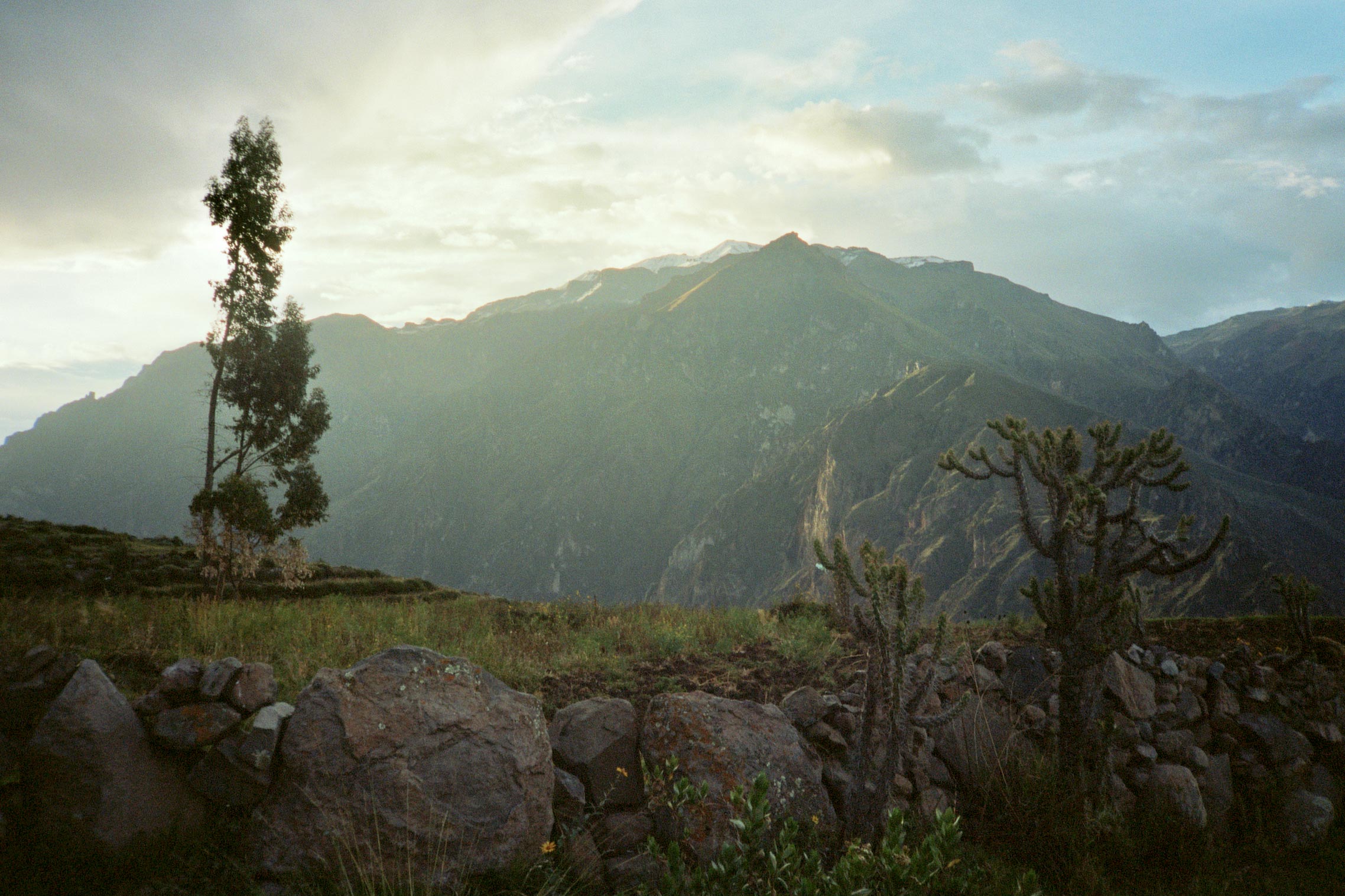 Peru Arequipa Colca Canyon Pinchollo