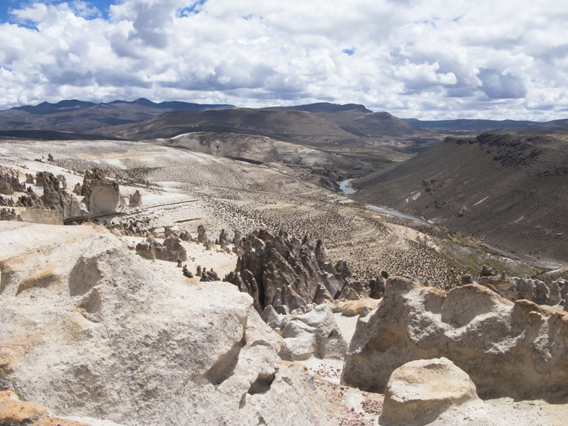 Peru Arequipa Colca Reserva National Salinas bosque piedras valley