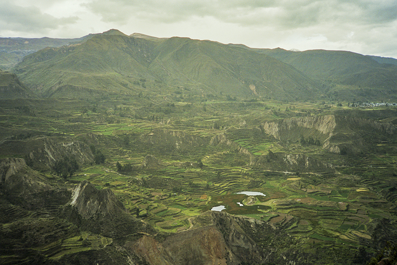 Peru Arequipa Colca valley terraces agriculture