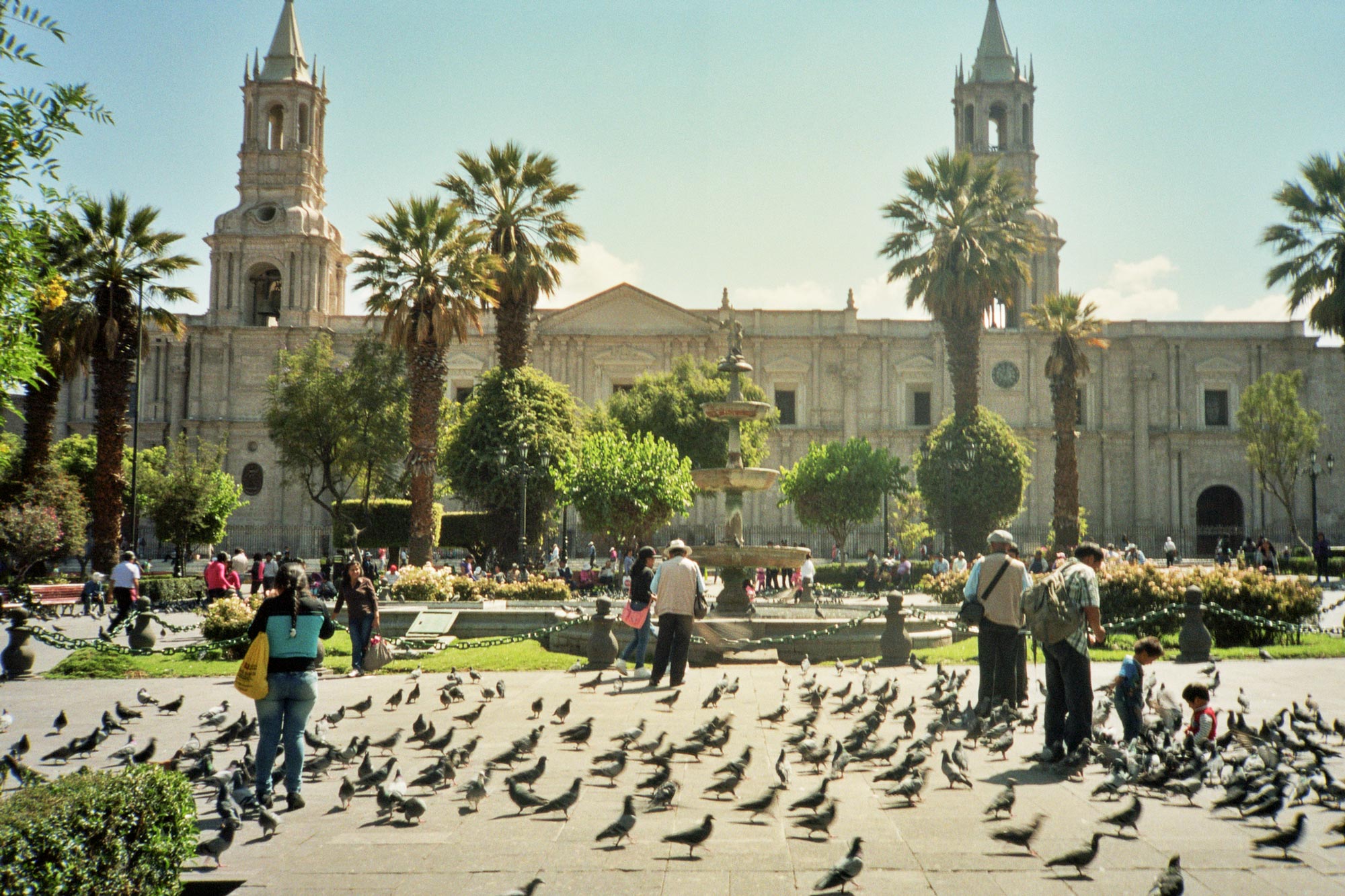 Peru Arequipa plaza de armas pigeons cathedral