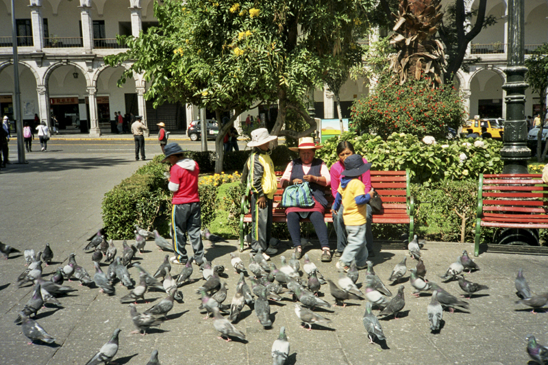 Peru Arequipa plaza de armas pigeons locals