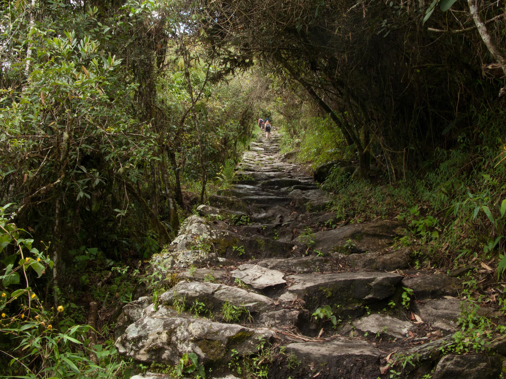 Peru machu Picchu climbing mountain