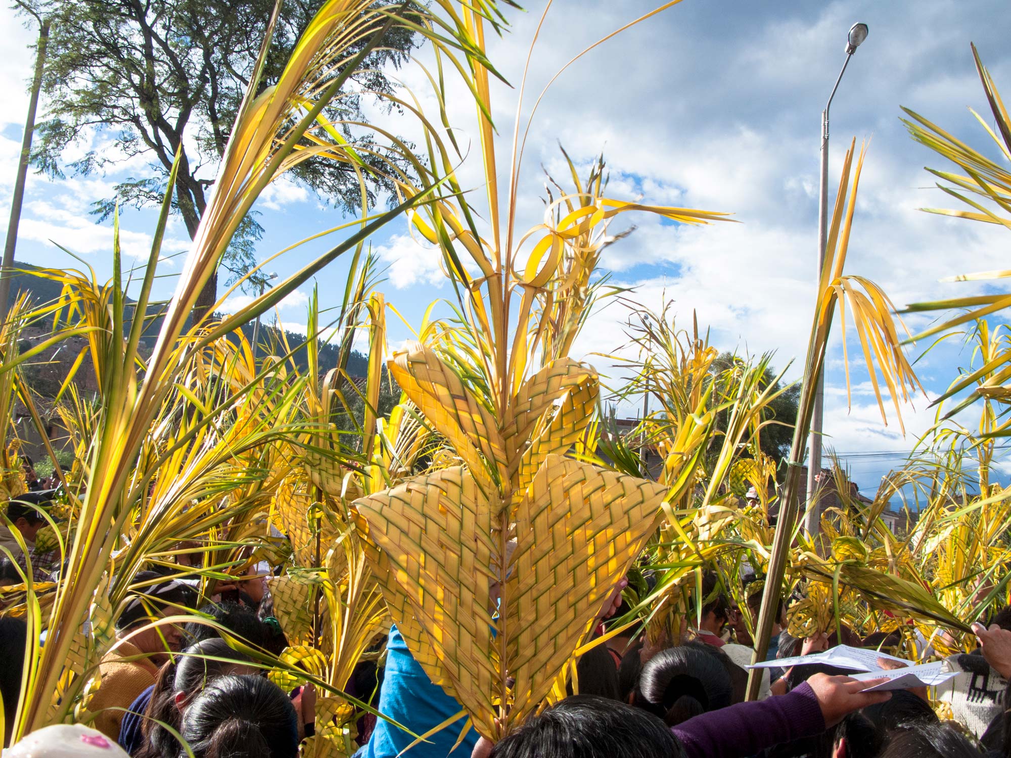 Peru Ayacucho Seman santa palms