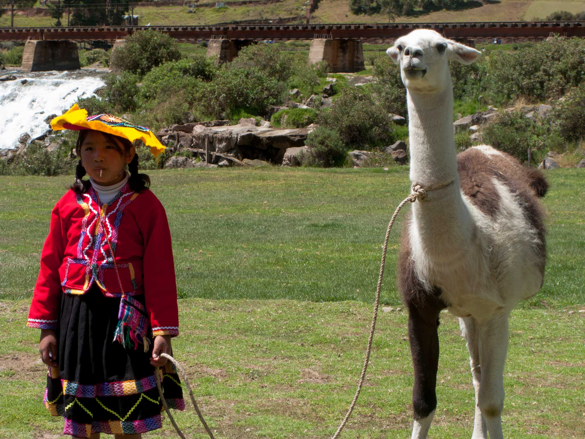 Peru Puno Cusco kid with her llama