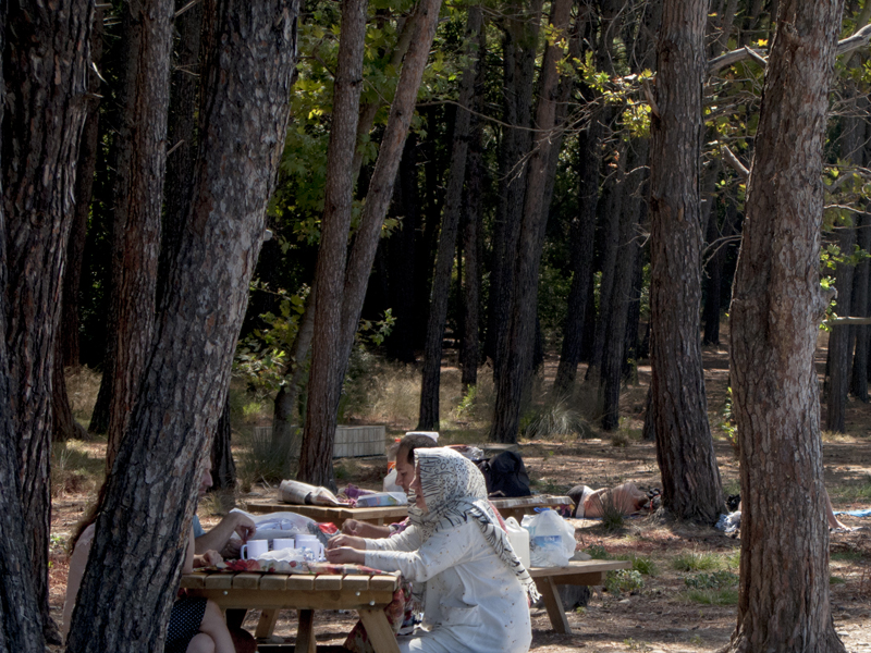 Turkey Dilek Millipark families picnic