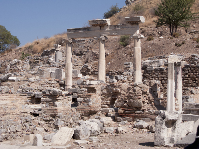 turkey ephesus ruins tree