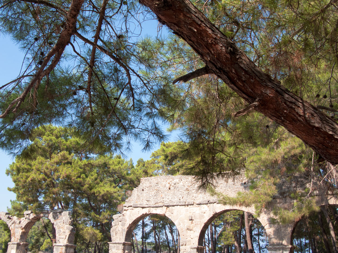 Turkey Phaselis roman ruins at seaside