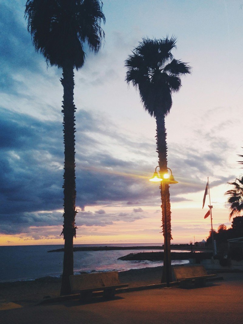 Liguria san lorenzo al mare sunset palms