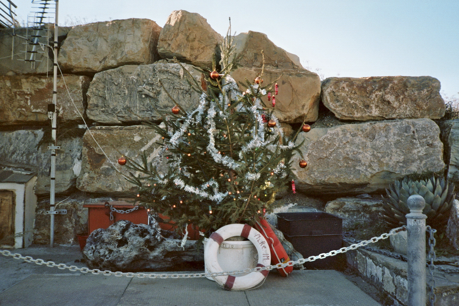 San lorenzo al Mare winter christmas tree harbor