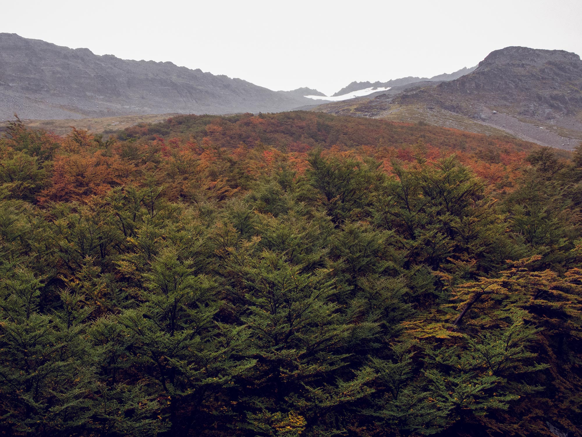 Argentin Ushuaia Glacia Martial autumn colors trees