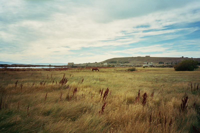 Argentina Patagonia Calafate Laguna Nimez