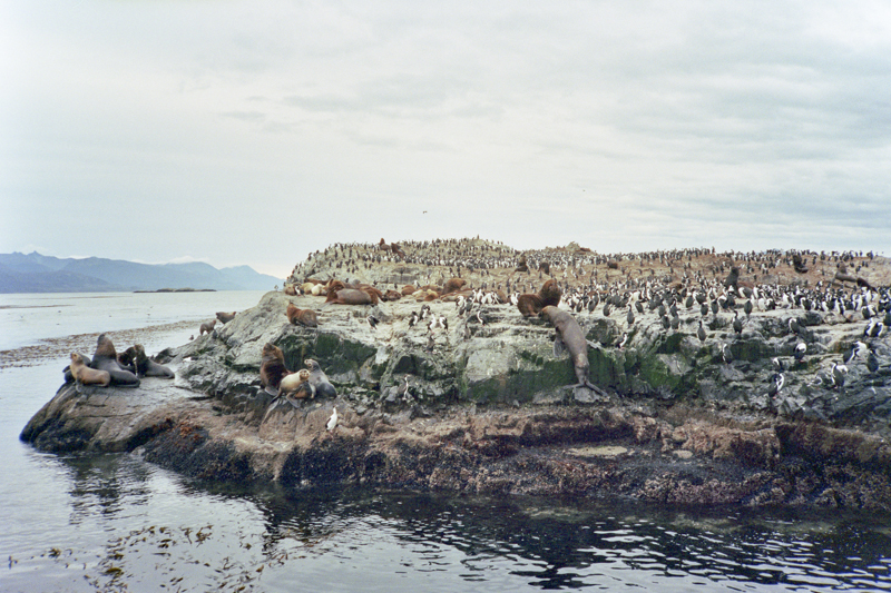 Argentina Ushuaia Beagle Channel isla lobos sea lions left