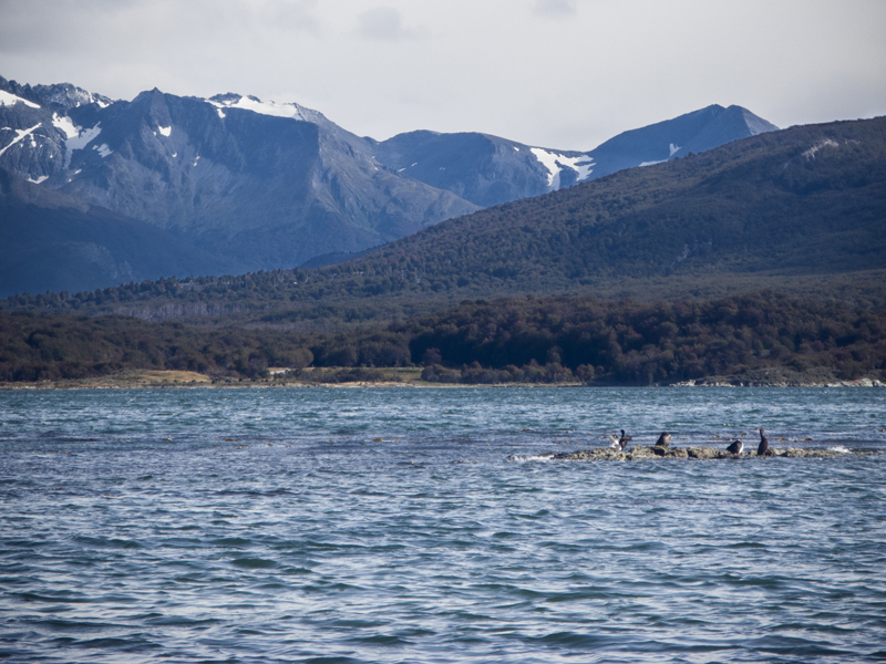 Argentina ushuaia national park tierra del fuego lake