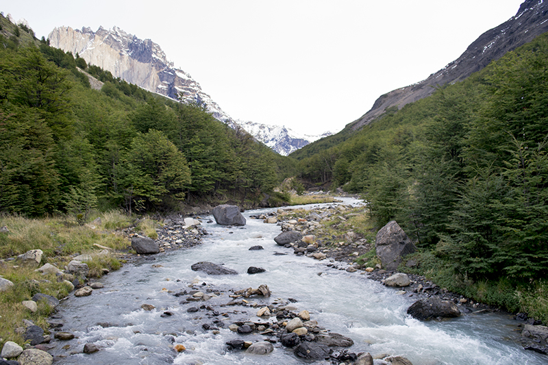 Chile Patagonia Torres del Paine path river