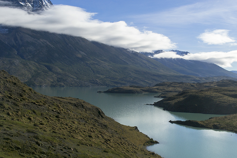 Chile Patagonia Torres del Paine pudeto