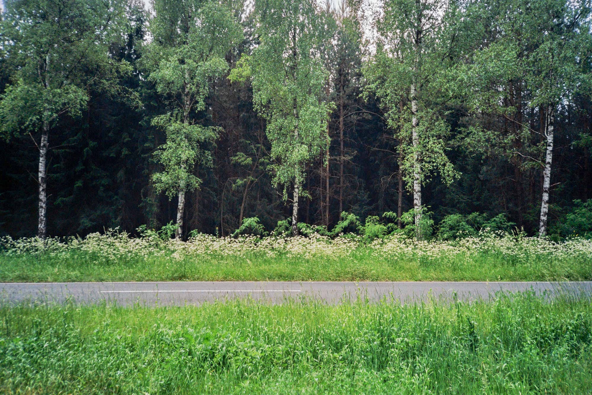 Berlin Liepnitzsee bike ride trees