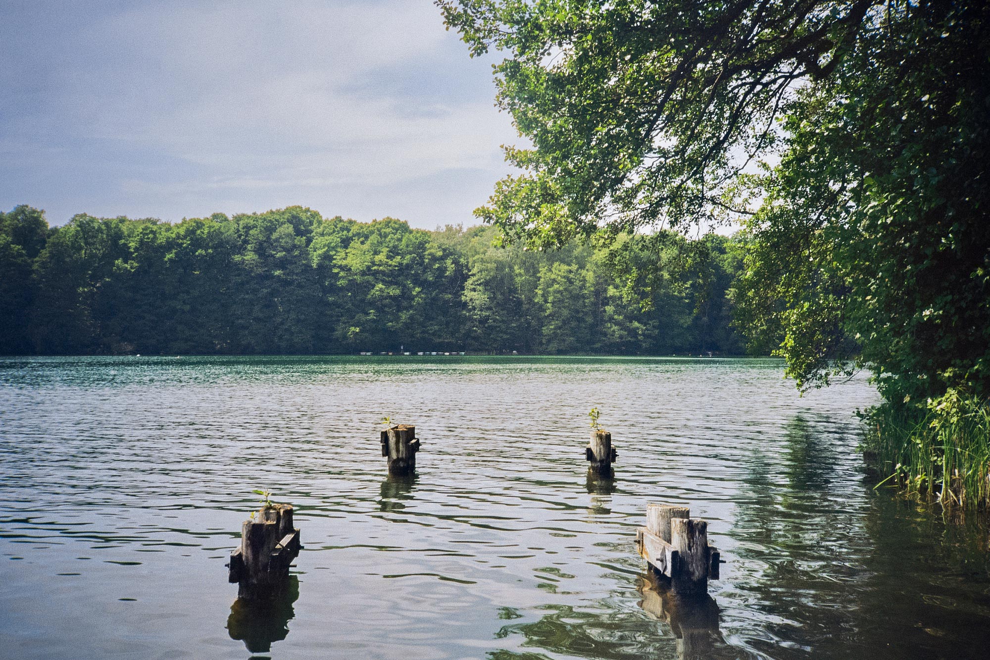 Berlin Liepnitzsee landscape