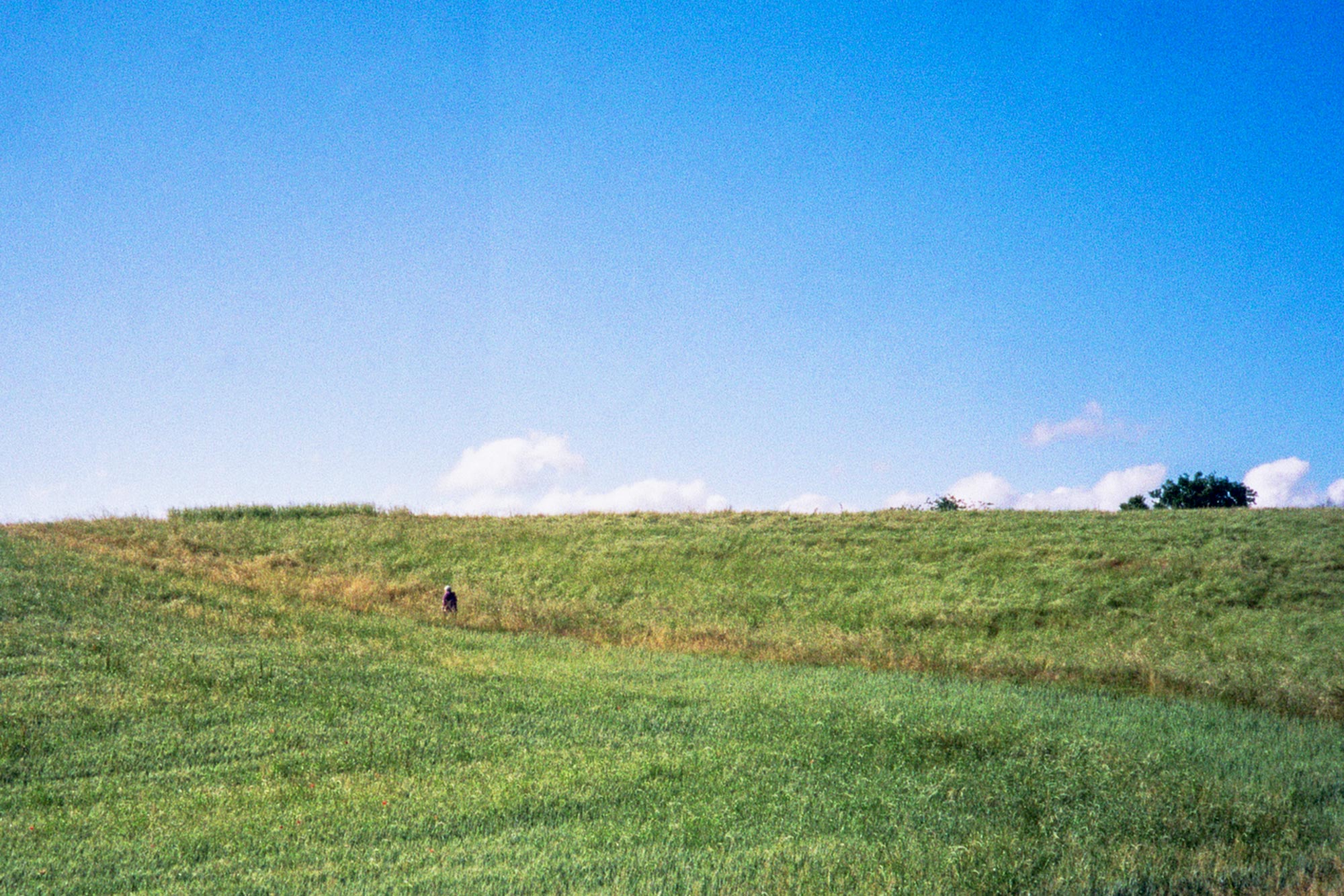 Piacenza Veano marce fields woman