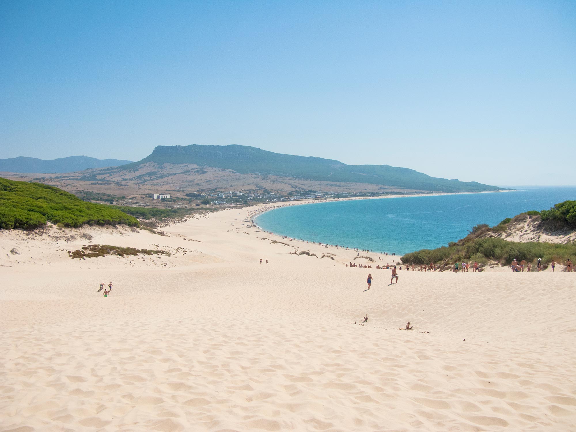 Bolonia beach dune