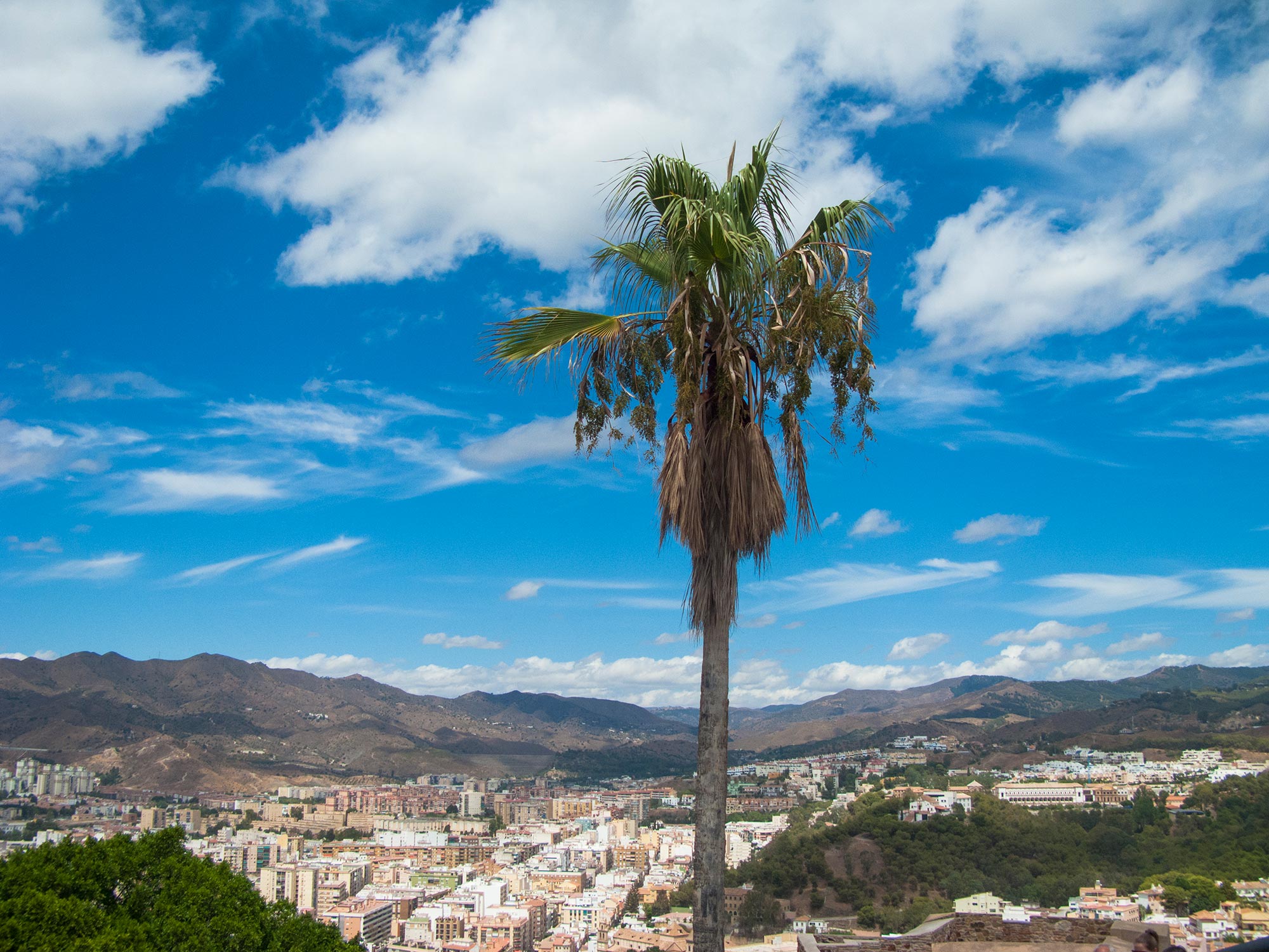 Malaga View from Castillo de Gibralfaro