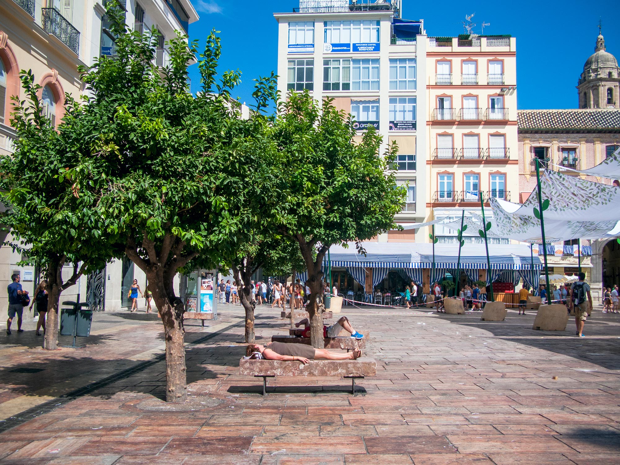 Malaga Plaza de la Constitución