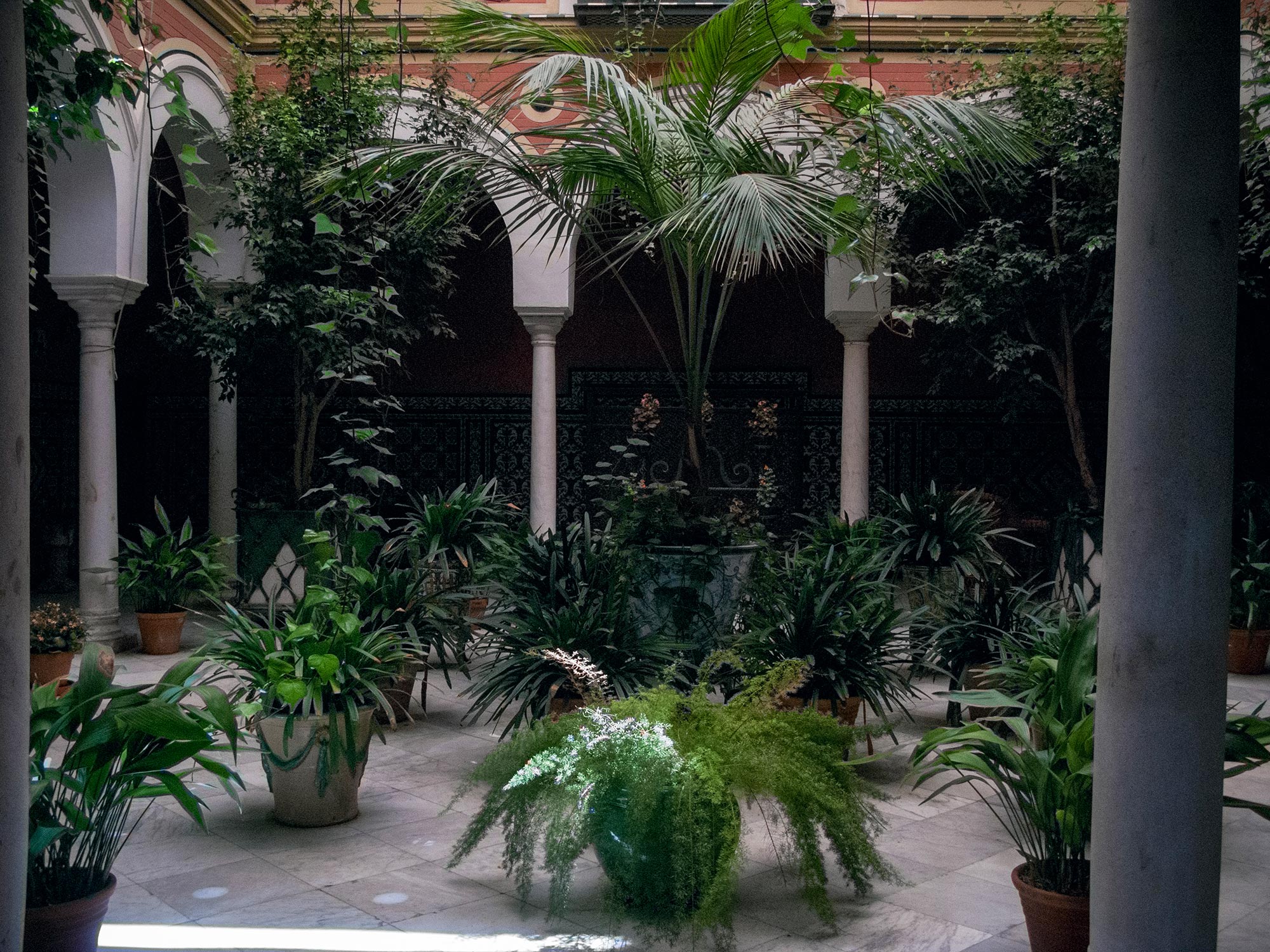 Sevilla Santa cruz patio plants peace