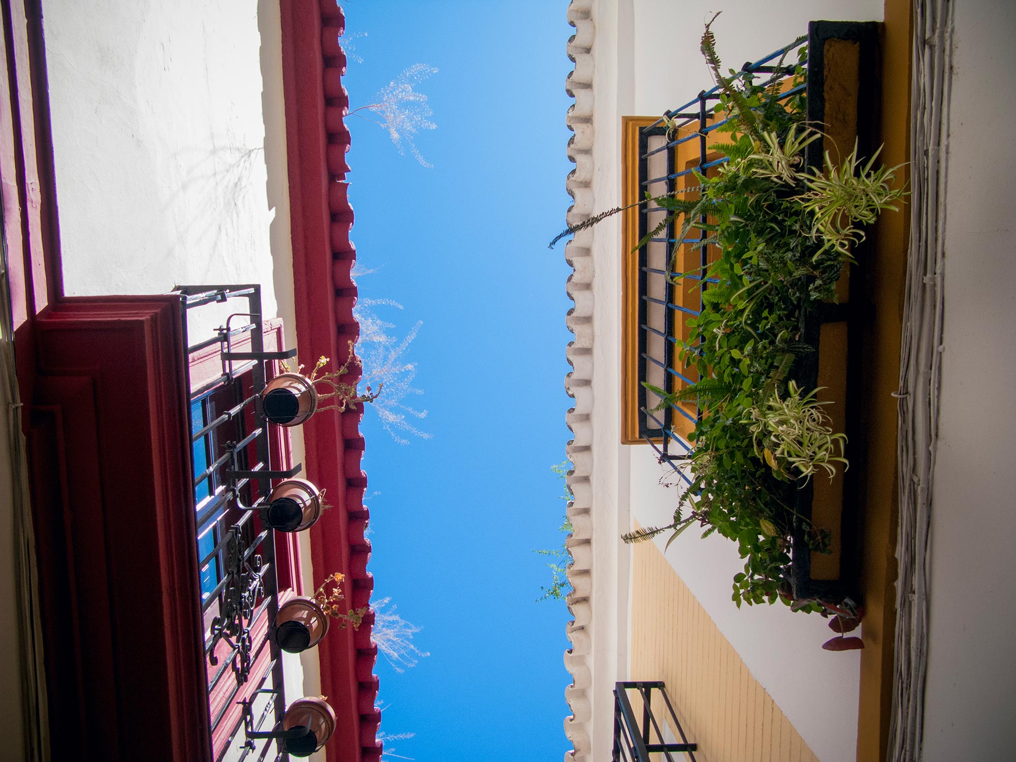 Sevilla santa cruz roof