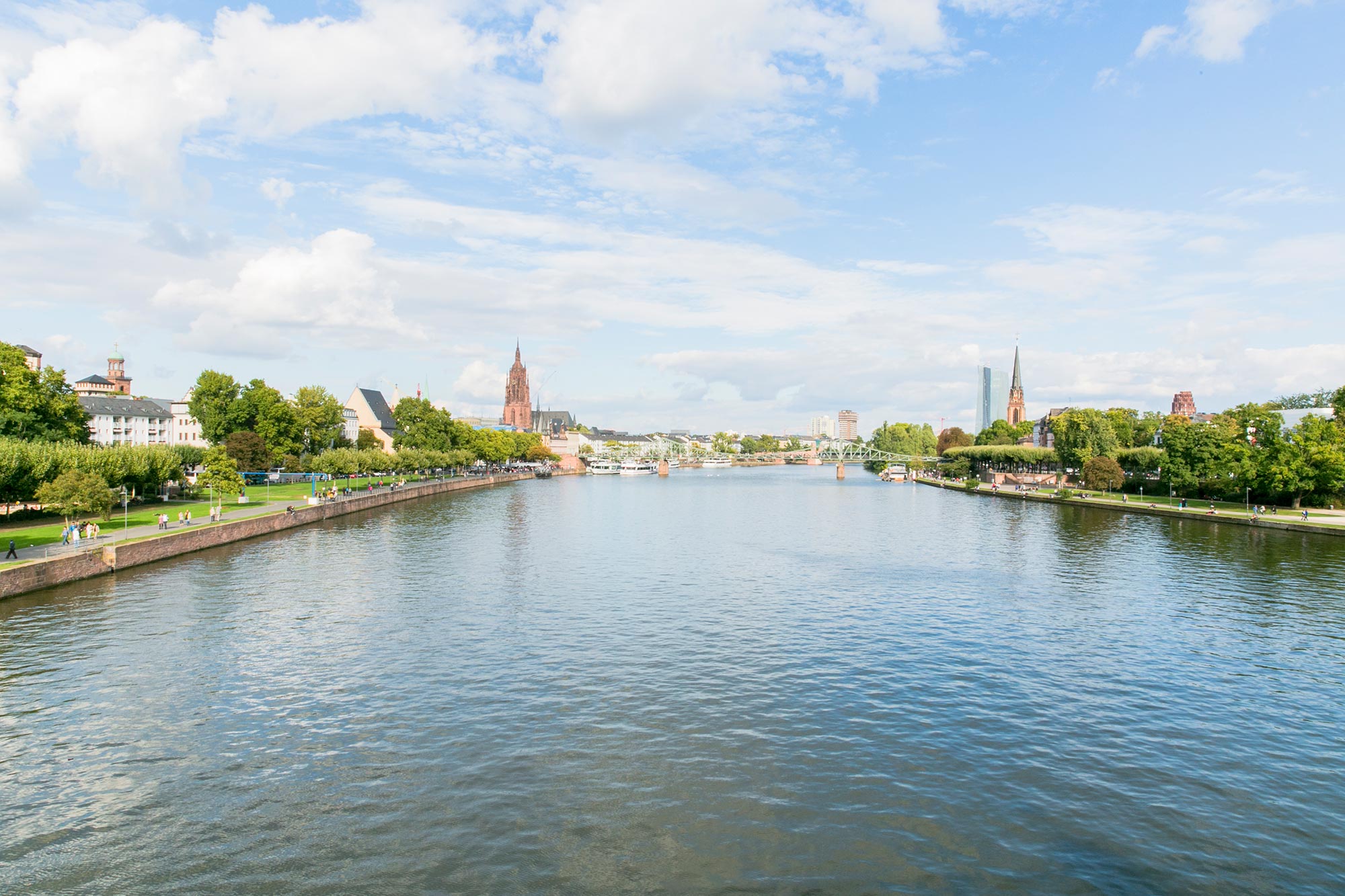 main river view frankfurt