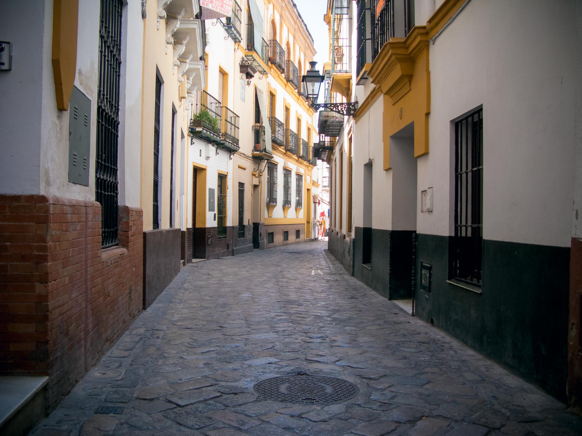 Sevilla Santa cruz Street