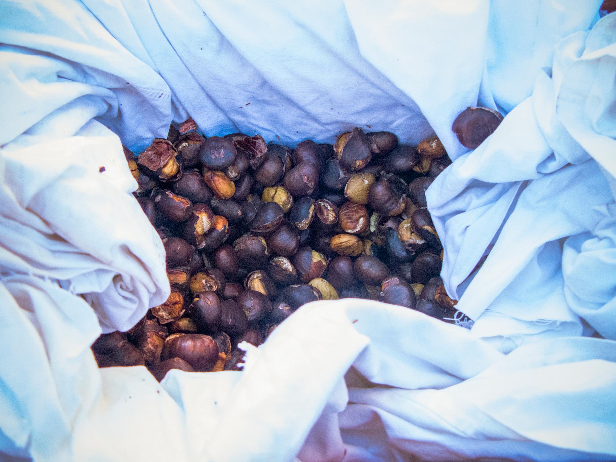 Italy Caorso Market chestnusts basket