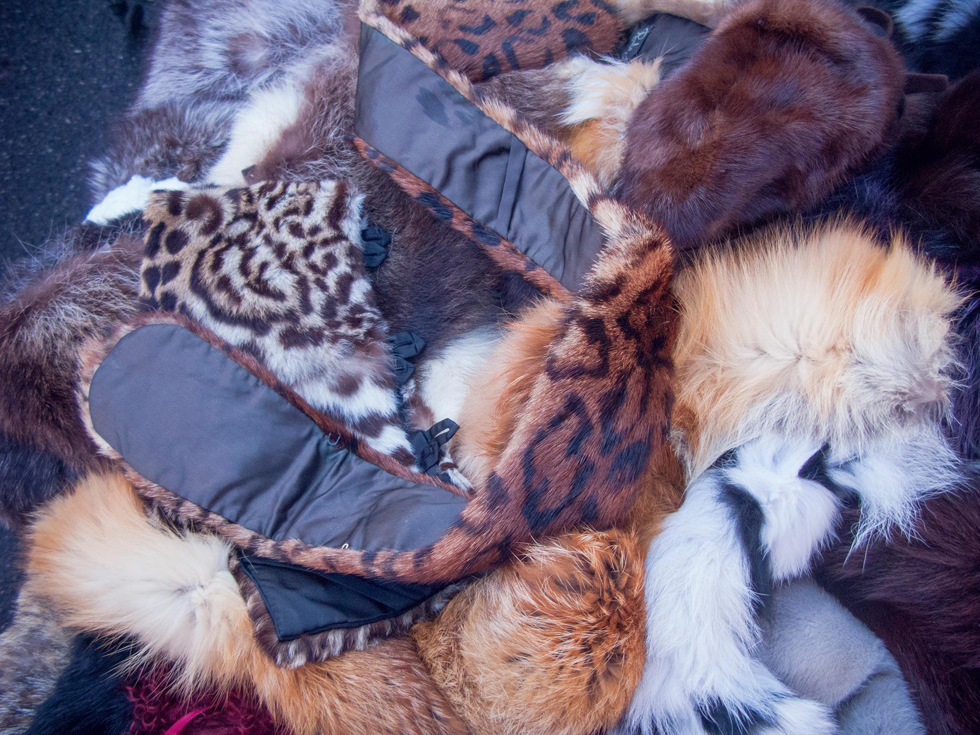 Italy Caorso Market furs