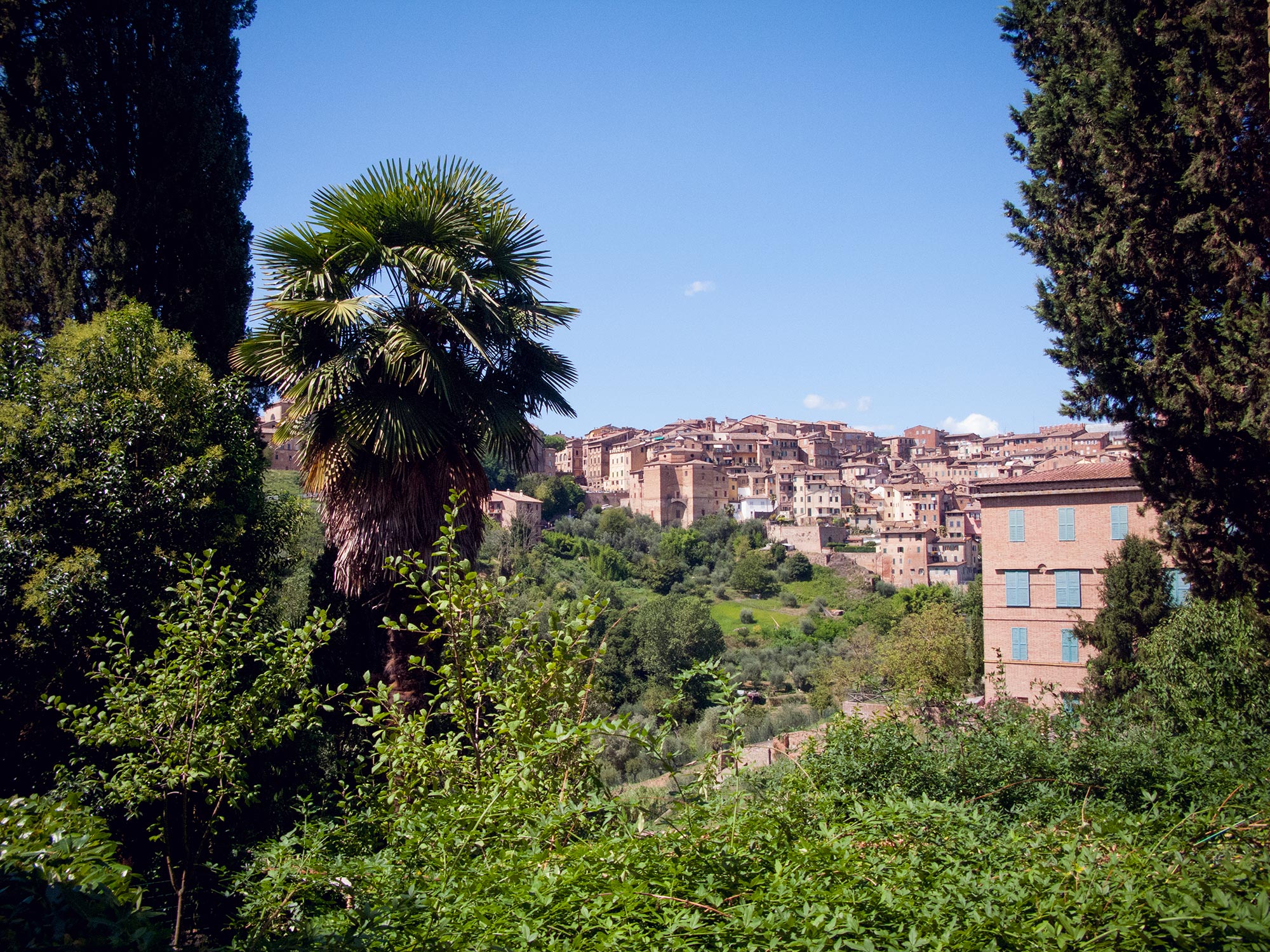 Italy Siena Palio city view