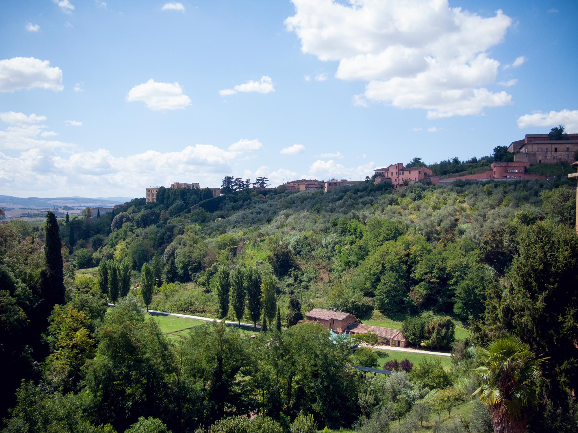 Italy Siena Palio panorama