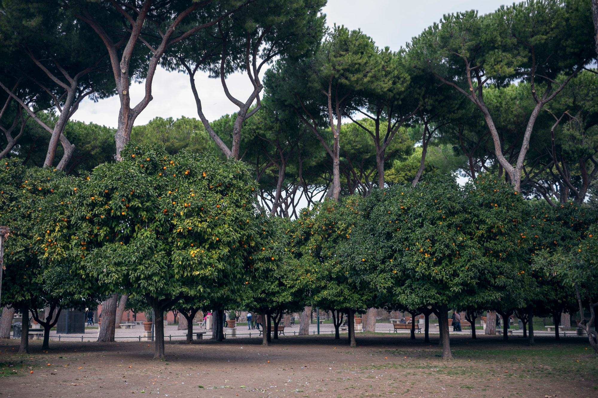 Italy-Roma-Aventino-Giardino-degli-aranci1