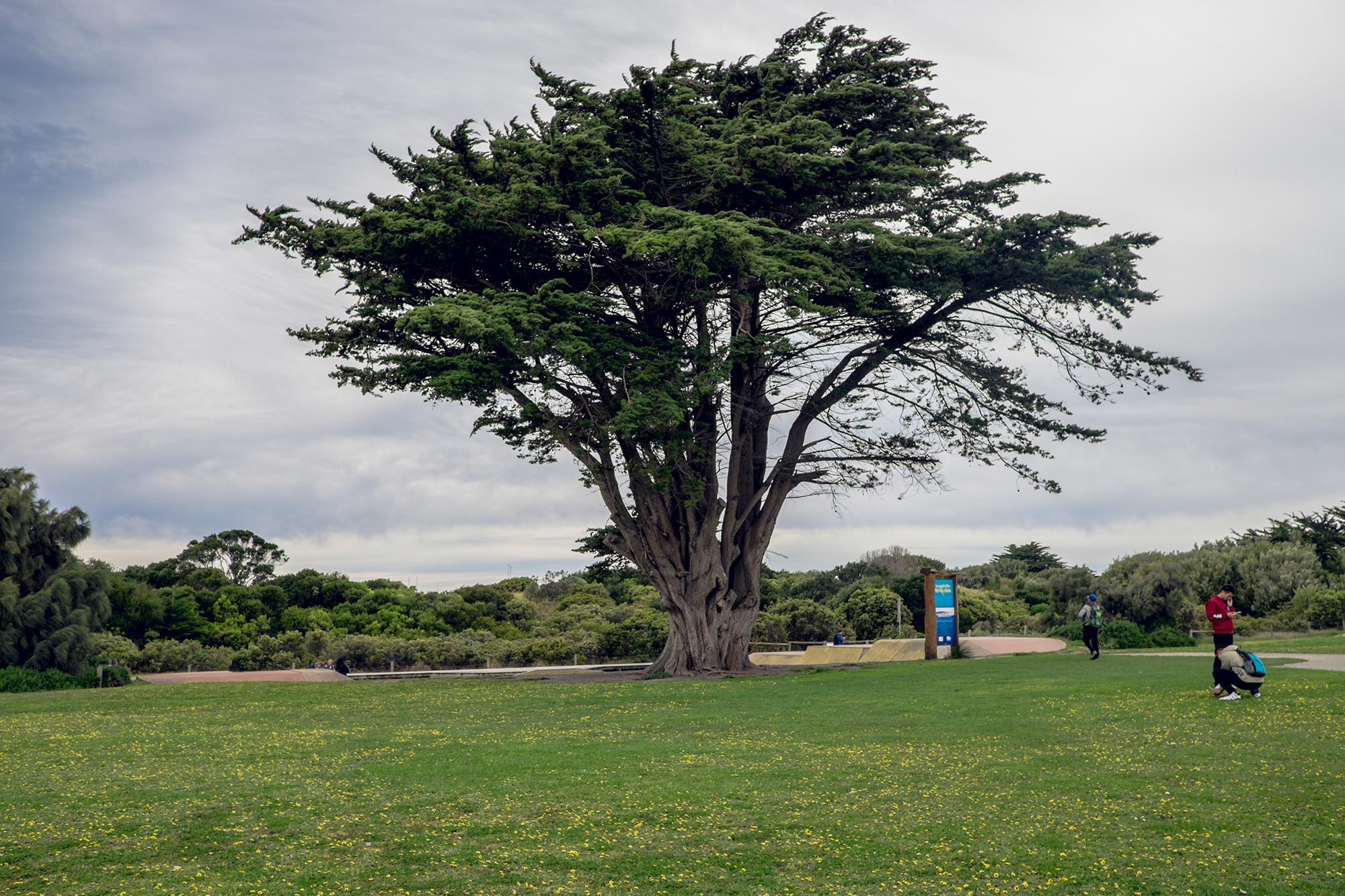 australia-melbourne-great-ocean-road-apollo-bay13