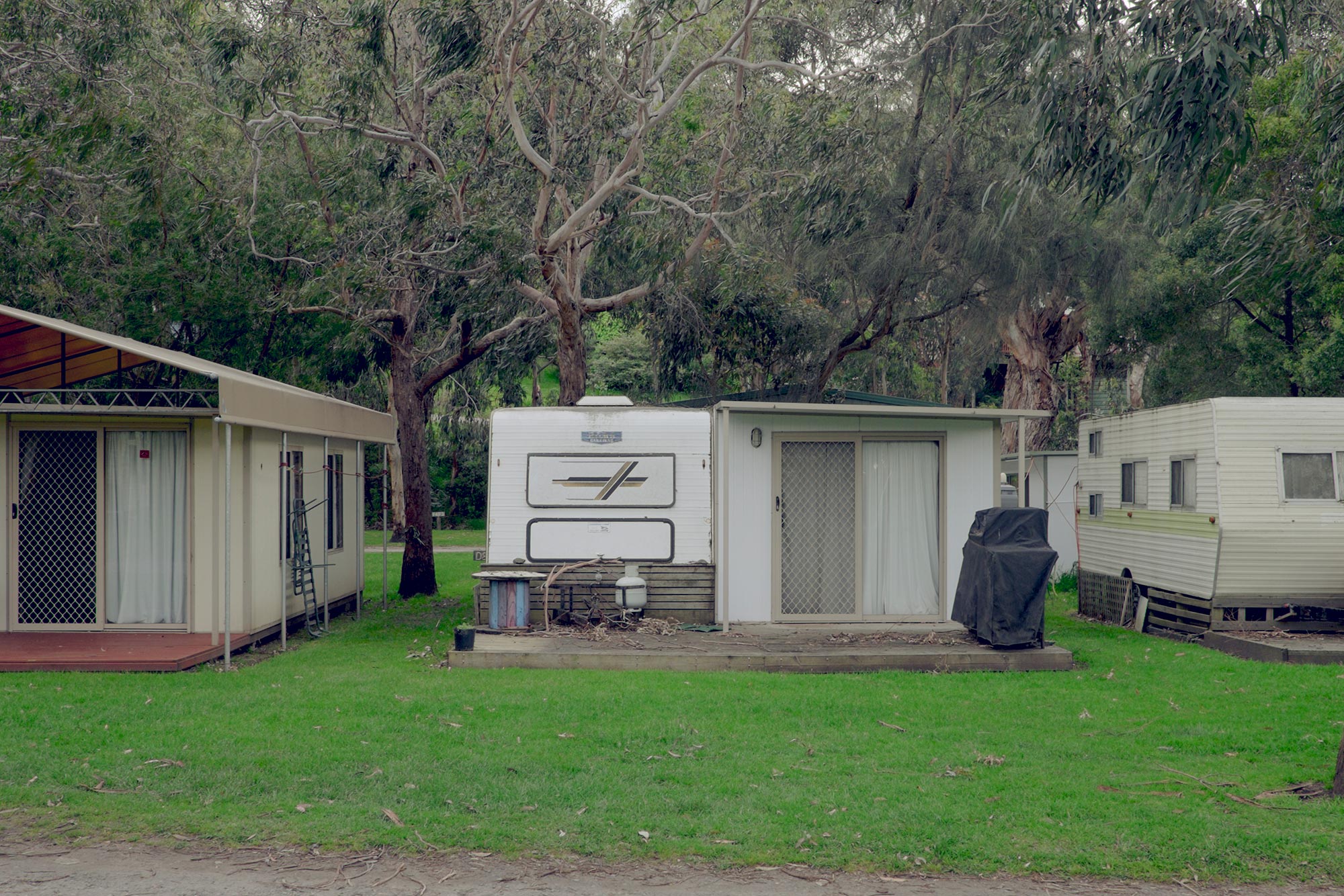 australia-melbourne-great-ocean-road-kennet-river-holiday-park-koala6