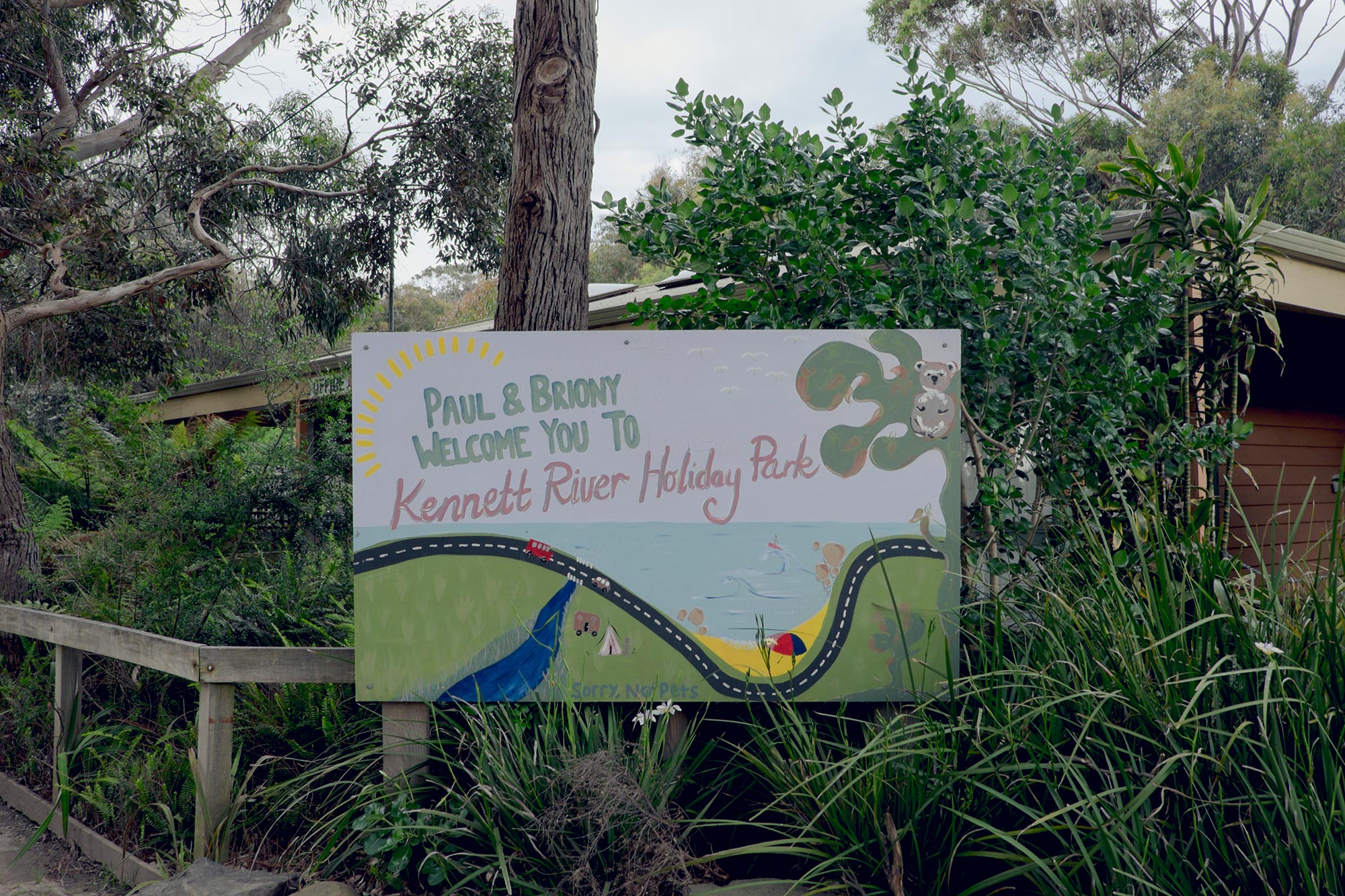 australia-melbourne-great-ocean-road-kennet-river-holiday-park-koala9