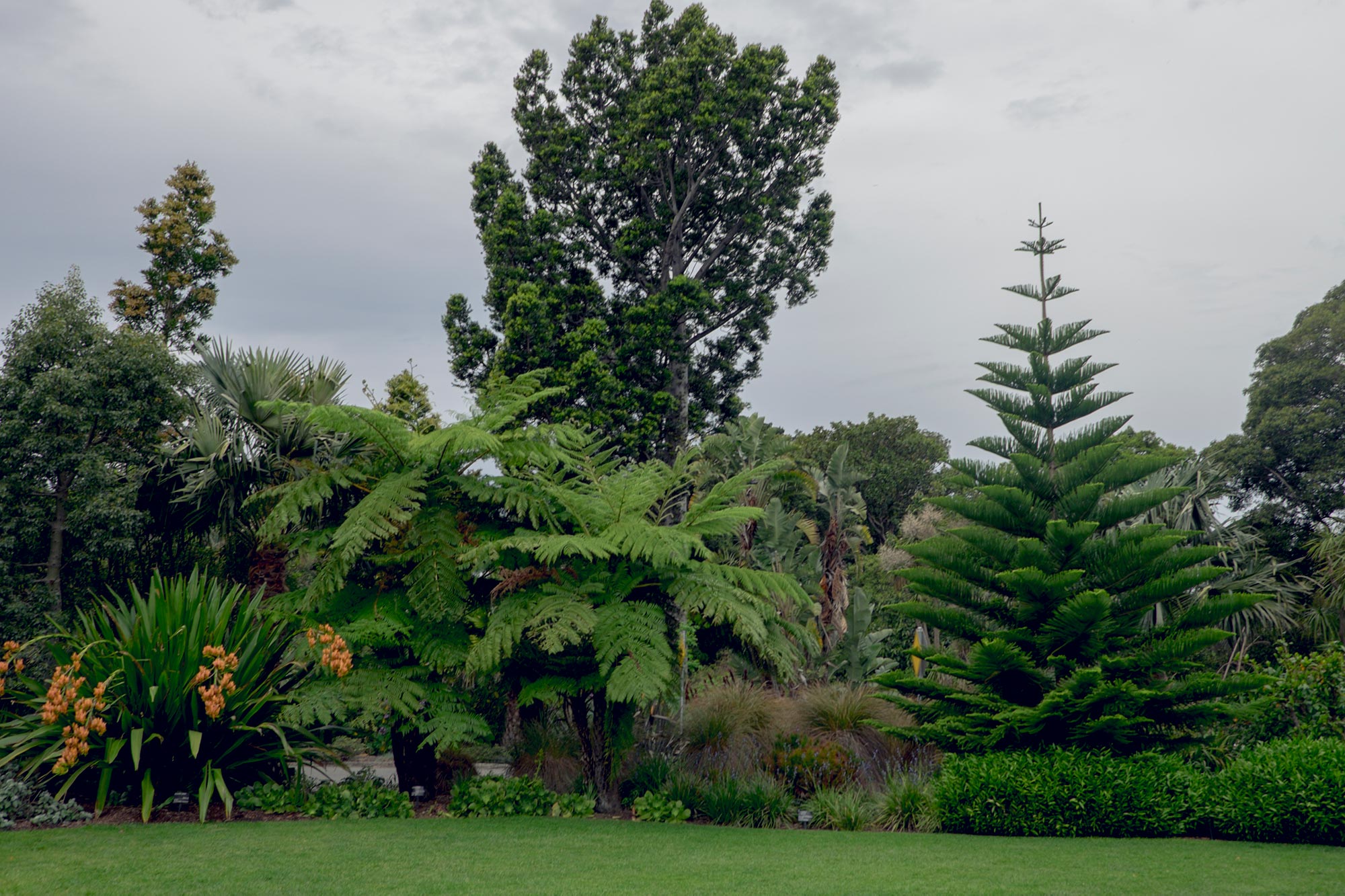 australia-melbourne-royal-botanic-gardens2