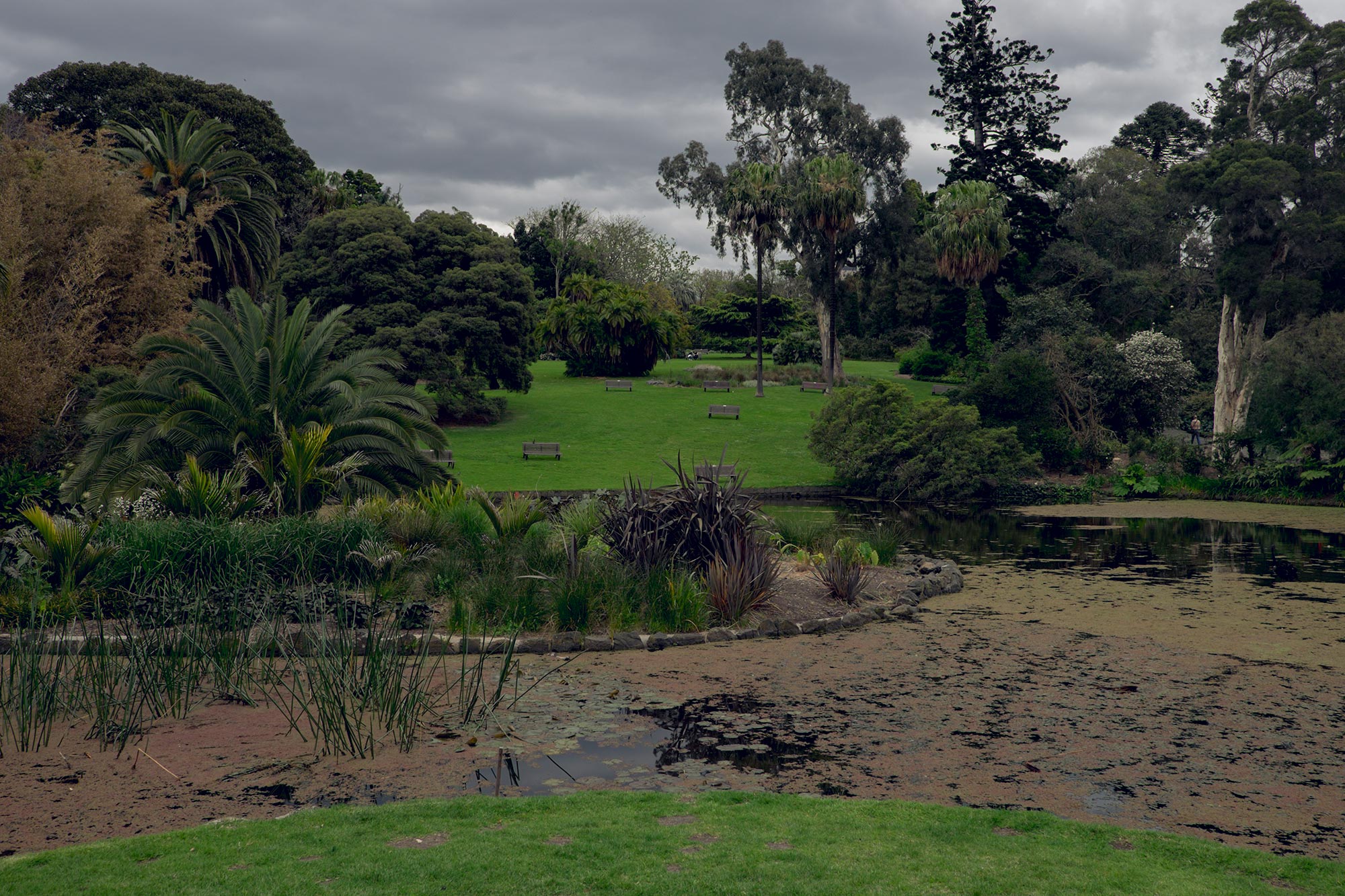 australia-melbourne-royal-botanic-gardens7